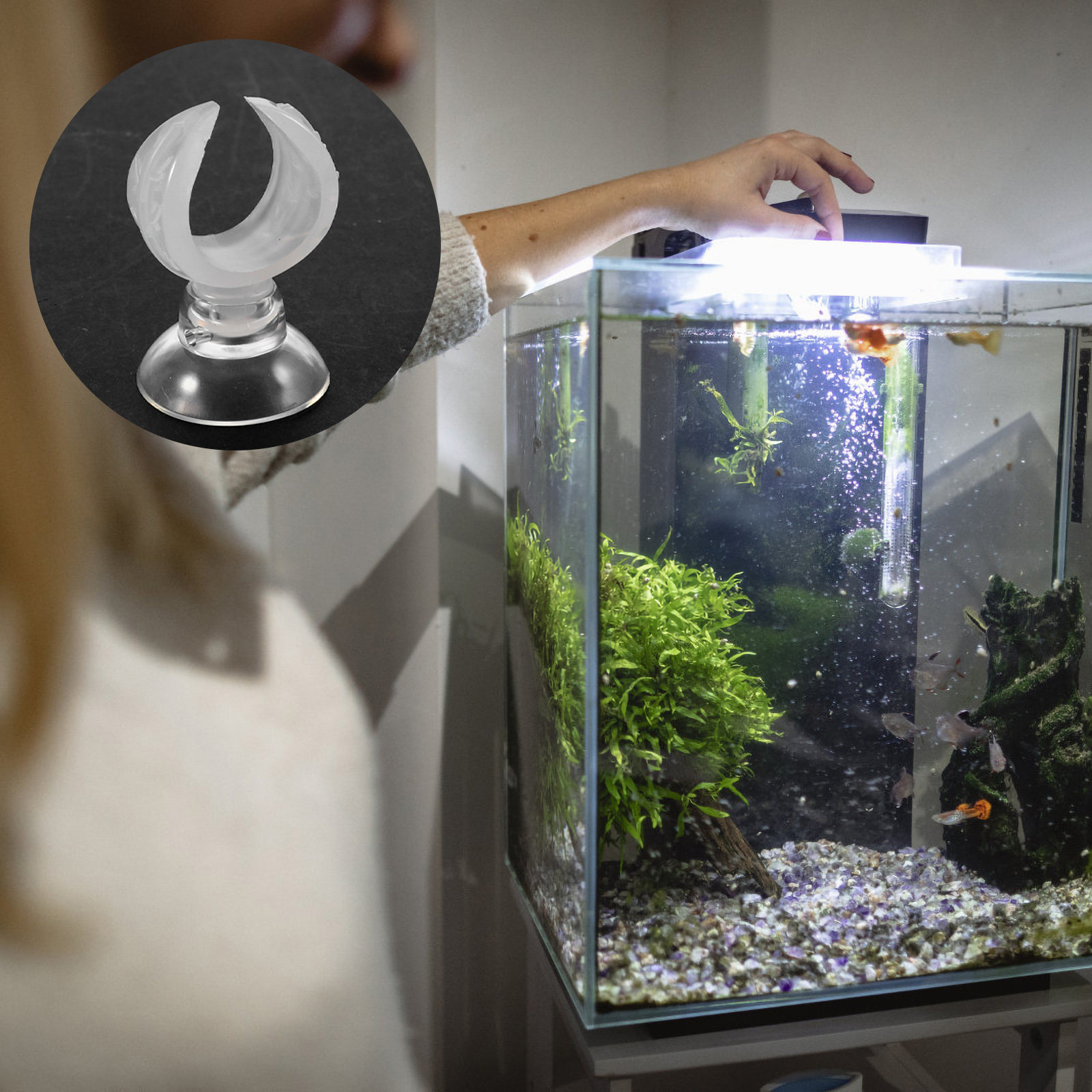 4Pcs Clear Plastic Aquarium Su - đánh giá và giá Woodworking On Youtube